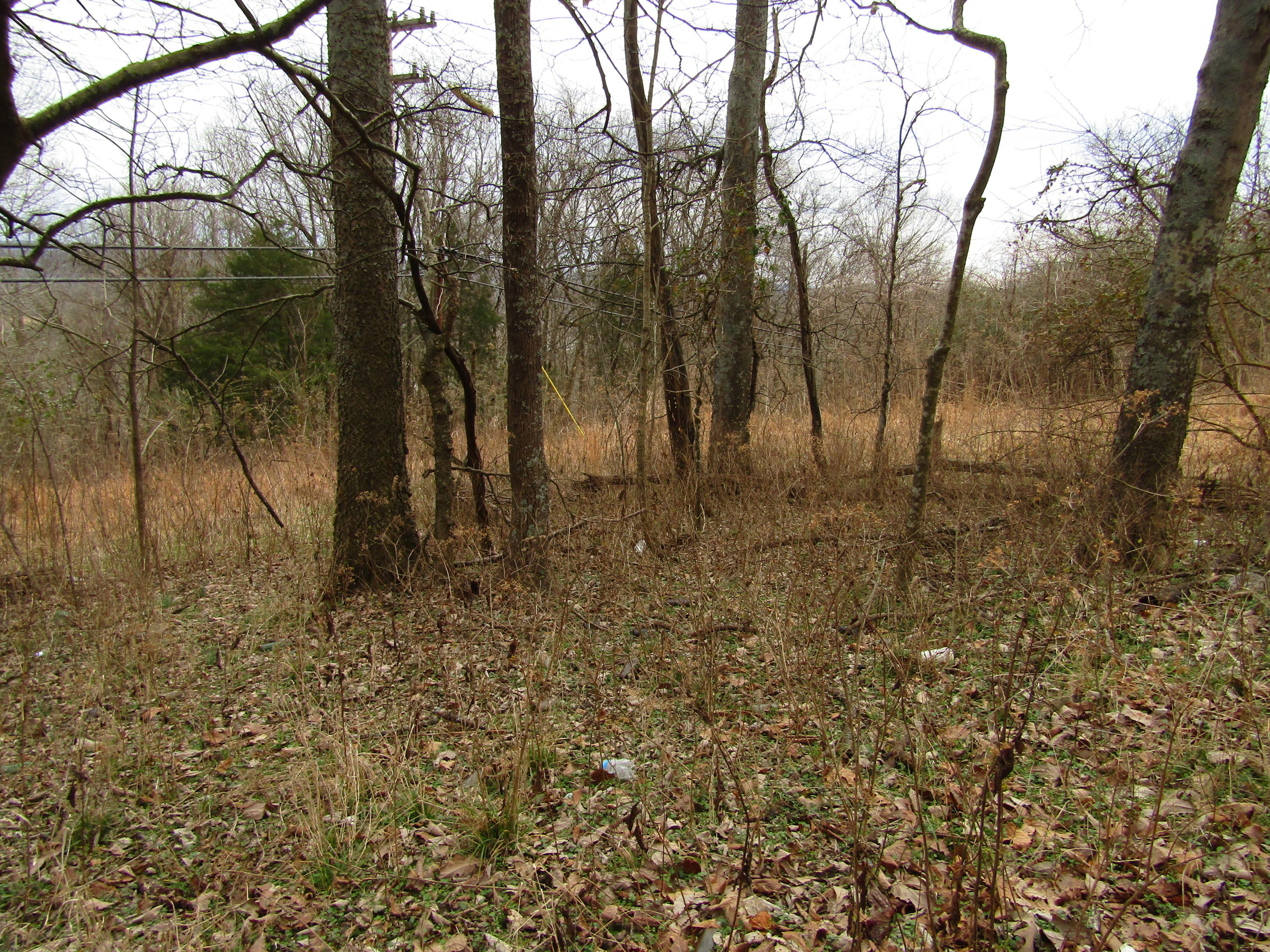 .23-ac Turkey Creek Road Carthage, TN 37030 - Photo 8 of 14 IMG_1168