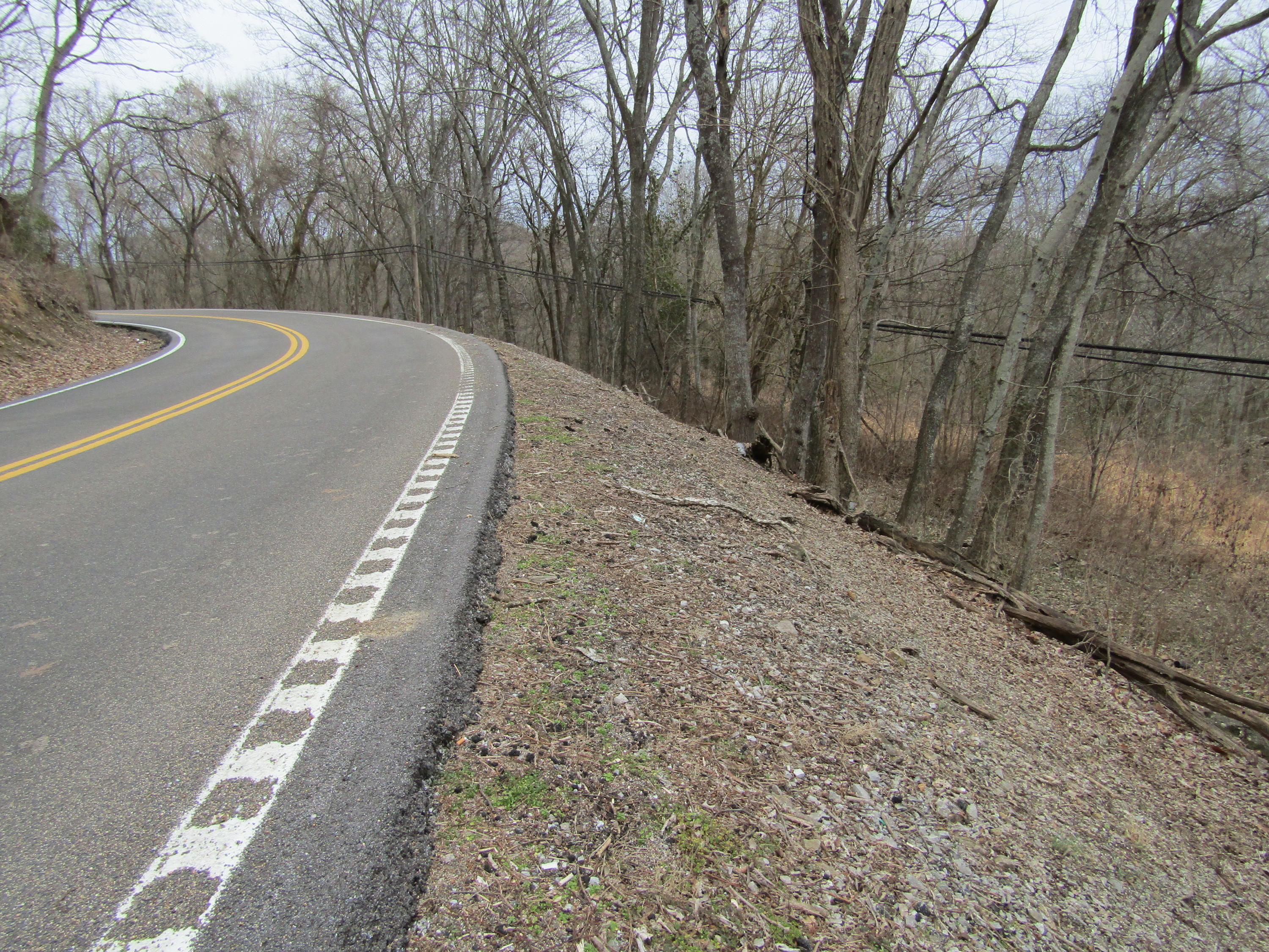 .23-ac Turkey Creek Road Carthage, TN 37030 - Photo 10 of 14 IMG_1170