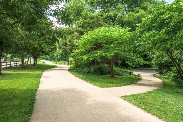 a view of a field with a big yard