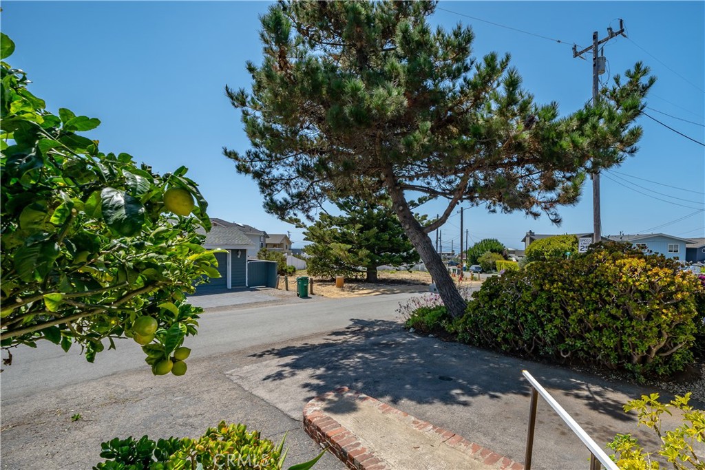2275 Cass Avenue Cayucos, CA 93430 - Photo 6 of 60 a front view of a house with garden