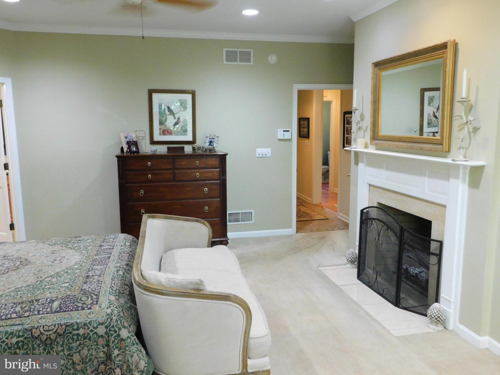 28 Baltray Road Dover, DE 19904 - Photo 32 of 76 Master Bedroom Suite iwth fireplace and tray ceili
