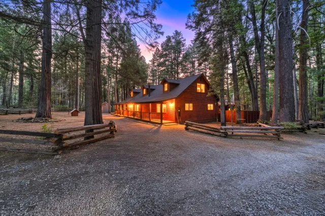 a view of park with large trees