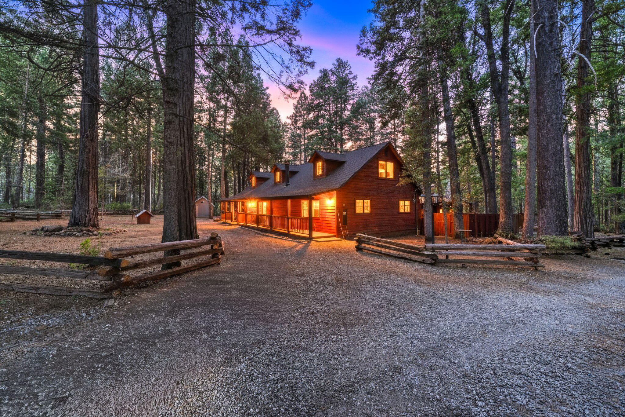 a view of park with large trees
