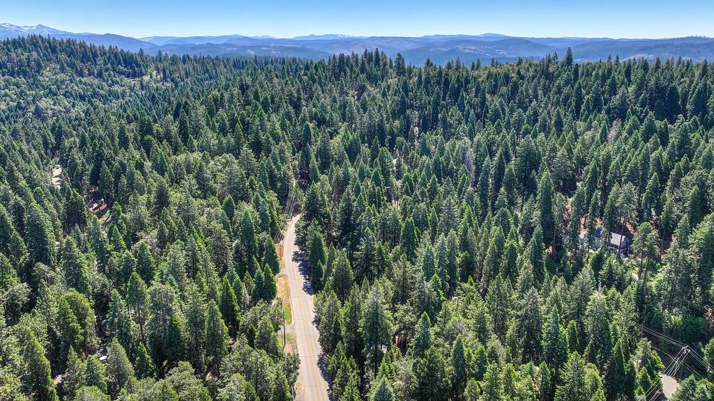 3644 Gold Ridge Trail Pollock Pines, CA 95726 - Photo 87 of 97