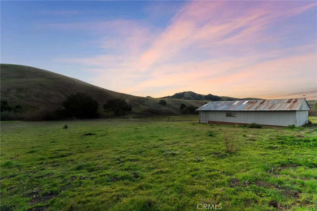 a view of a lush green field