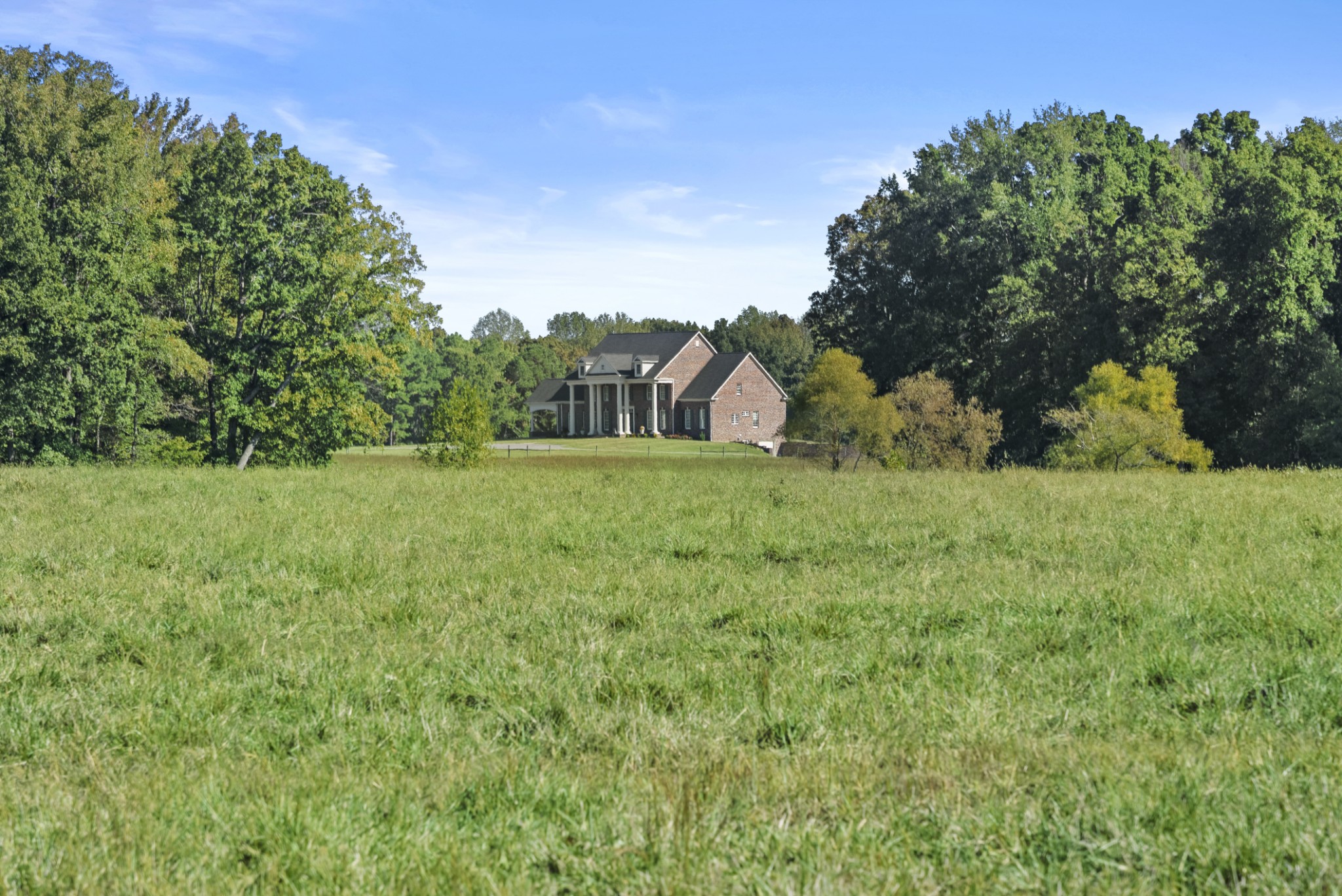 555 Williams Road Clarksville, TN 37043 - Photo 2 of 52 a view of a big yard with plants and large trees