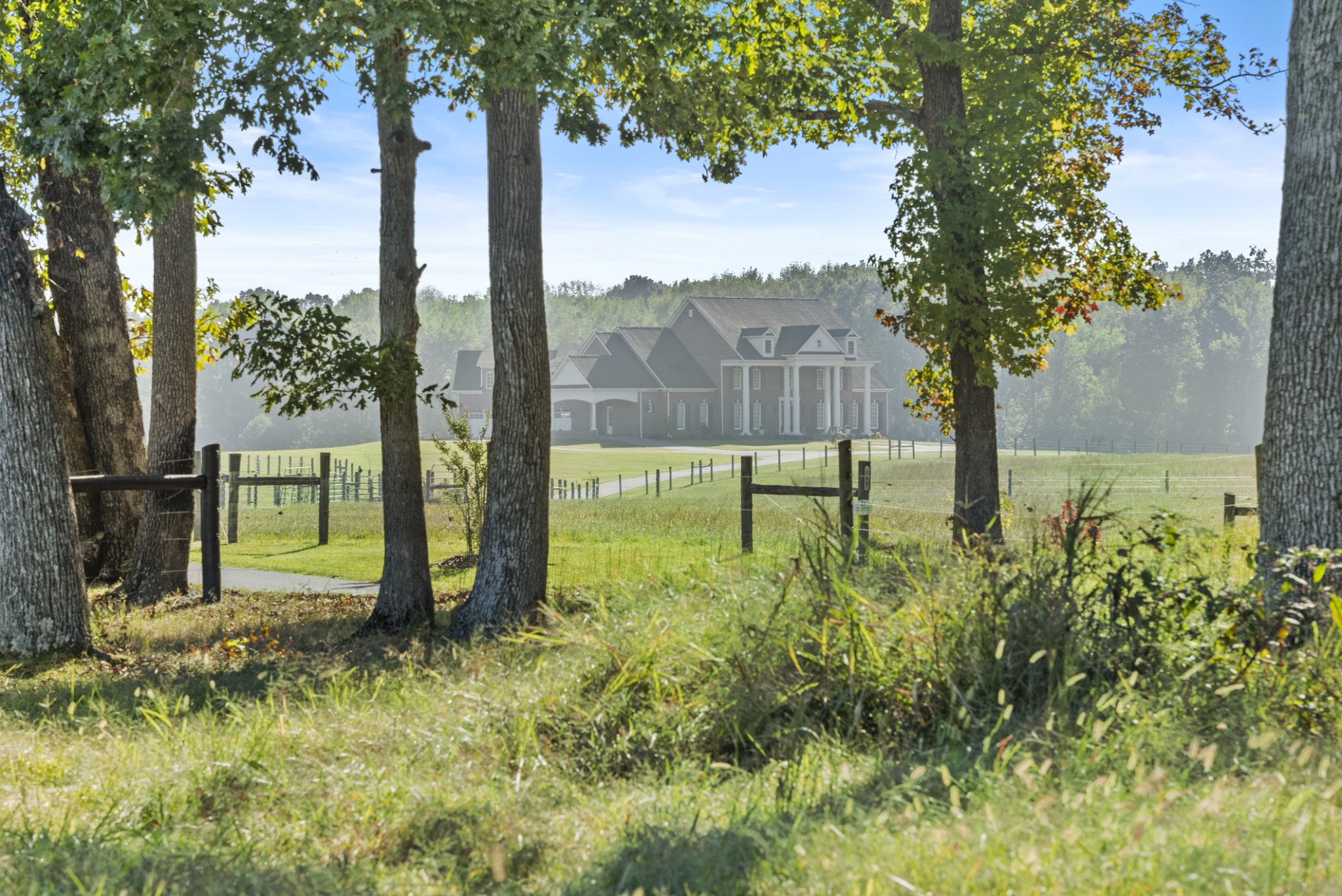 555 Williams Road Clarksville, TN 37043 - Photo 6 of 52 a view of a back yard