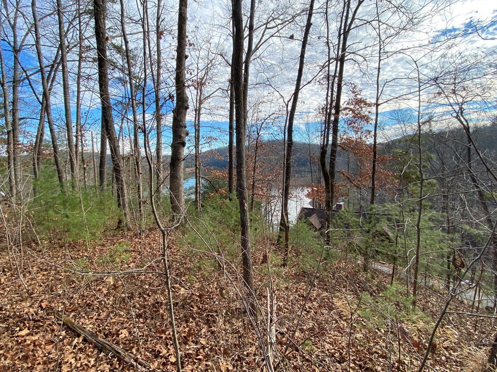 0 Village Road Murphy, NC 28906 - Photo 3 of 3