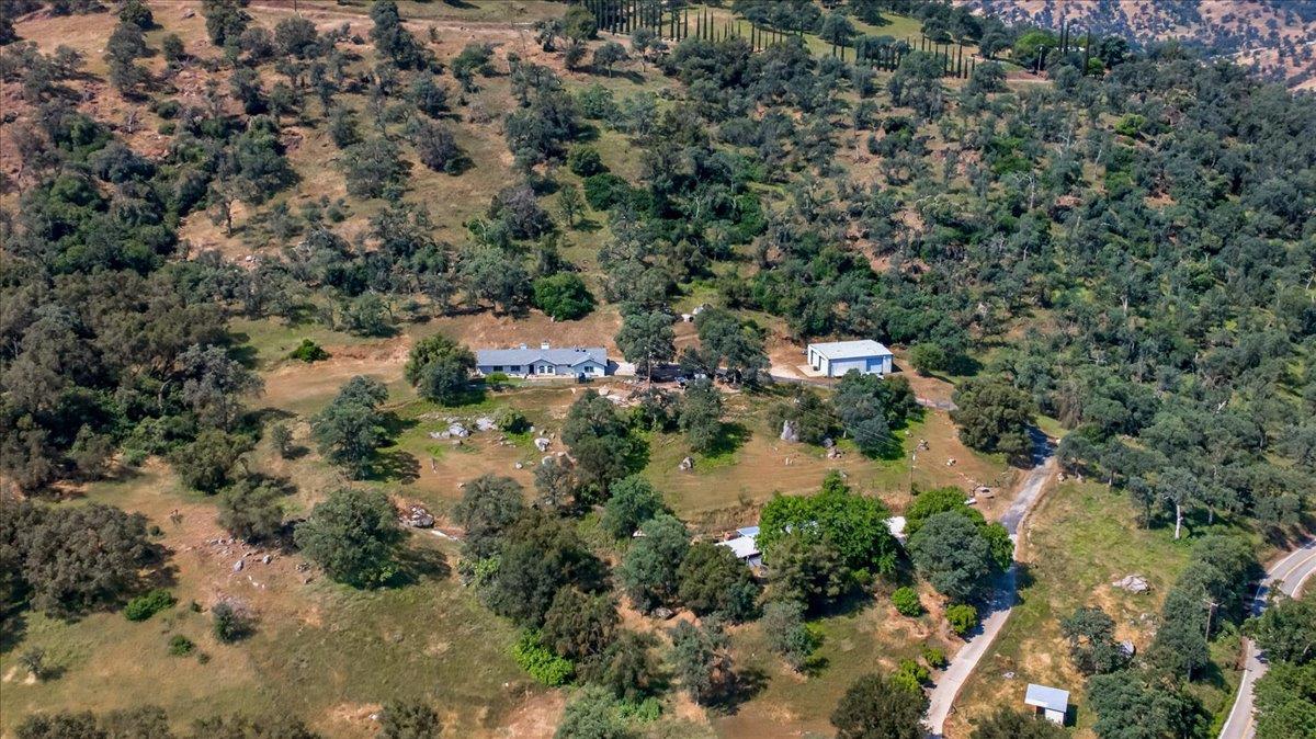 36209 Sand Creek Road Squaw Valley, CA 93675 - Photo 81 of 91