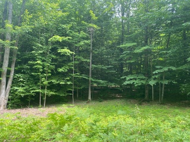 Green Briar Road Lake Ann, MI 49650 - Photo 9 of 16 1947287-bcfa50e8-23ff-49f8-a692-86199fd2363a.JPG