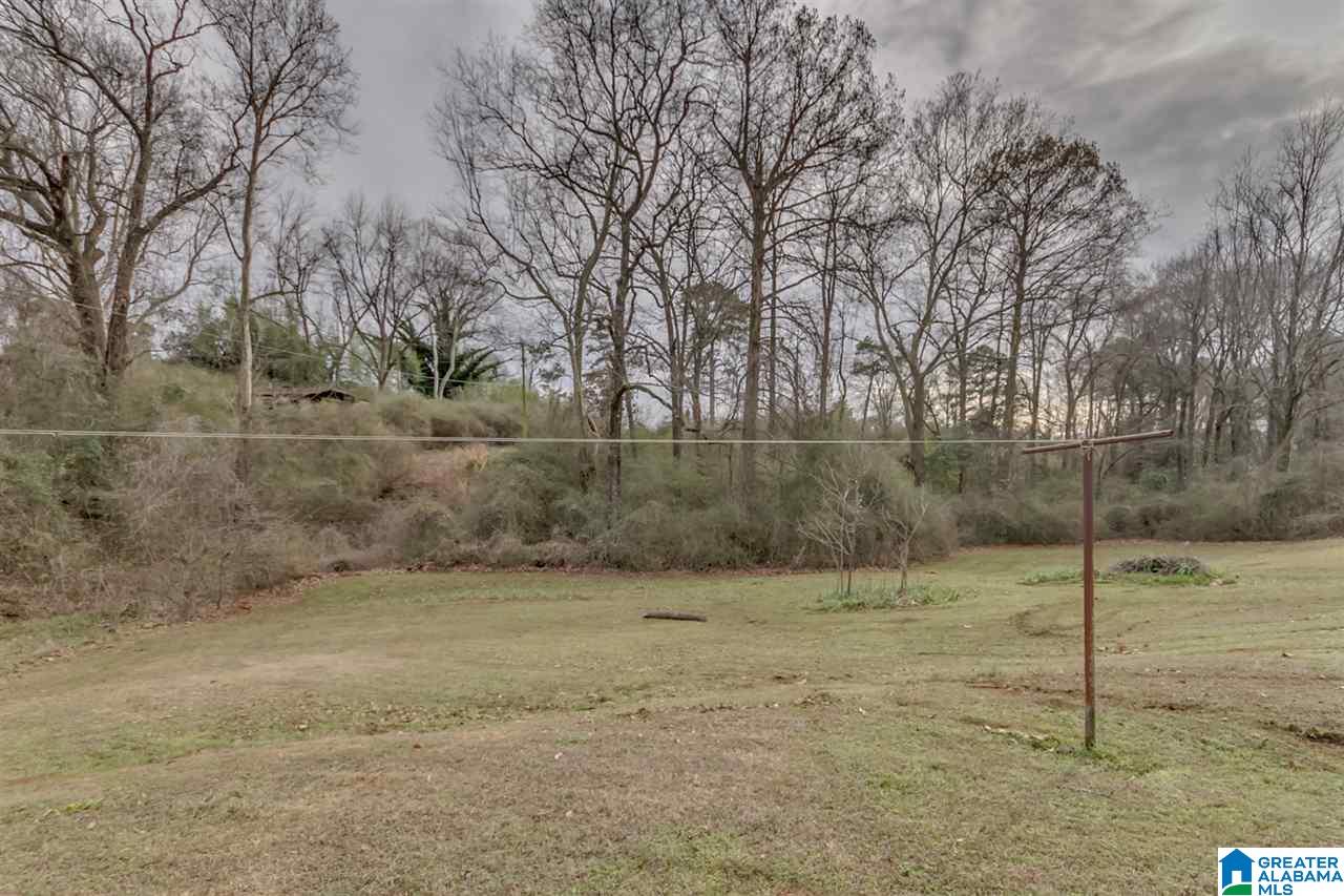 16835 Lbj Road Brookwood, AL 35444 - Photo 20 of 23 Gallery Image 20