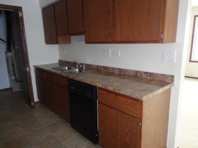 11 Red Barn Road, Unit 11 Matteson, IL 60443 - Photo 4 of 5