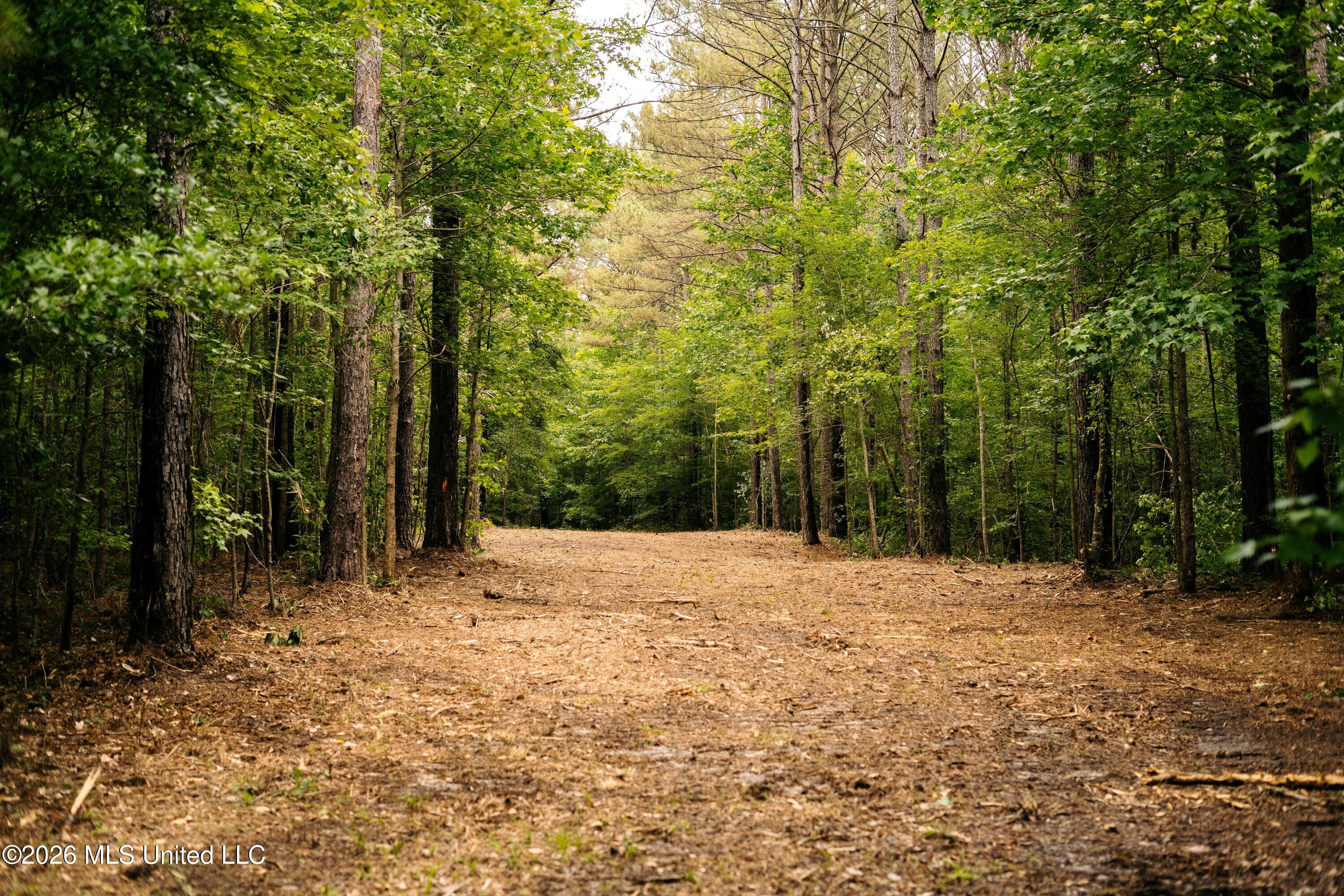10843 Reservation Road Philadelphia, MS 39350 - Photo 38 of 42 DSC08190