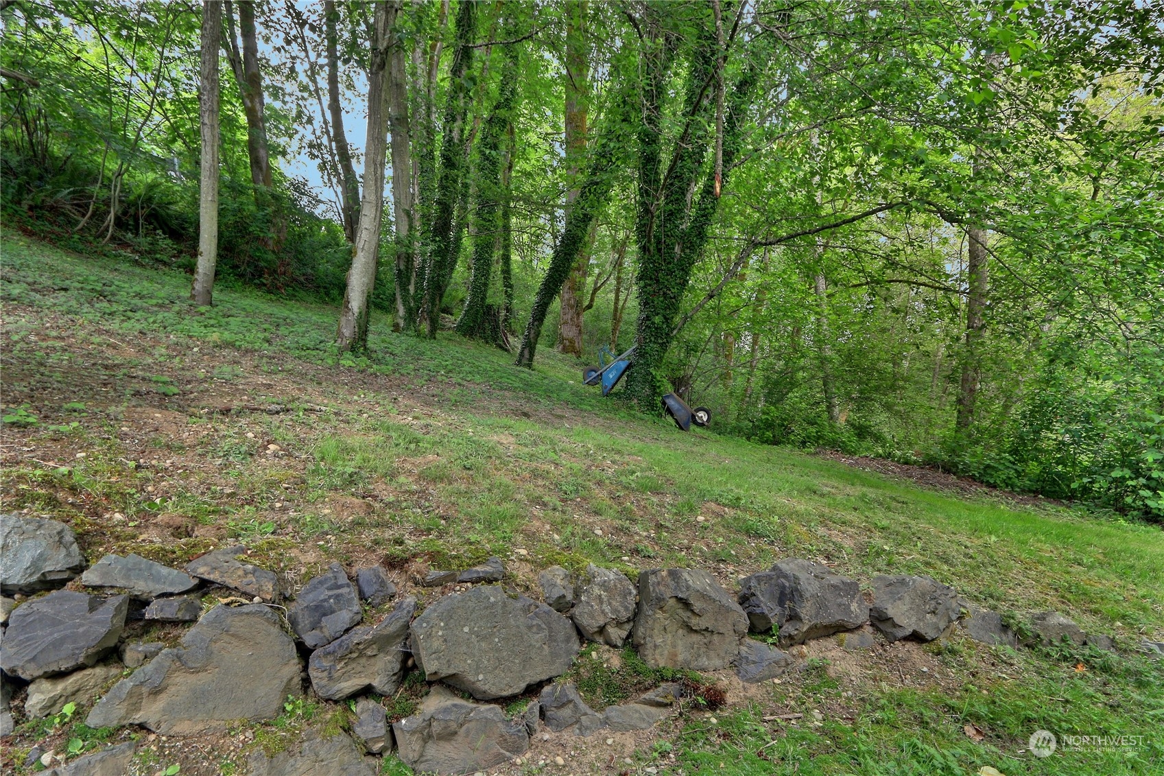 23113 Barker Road Bothell, WA 98021 - Photo 33 of 37 a view of backyard with green space