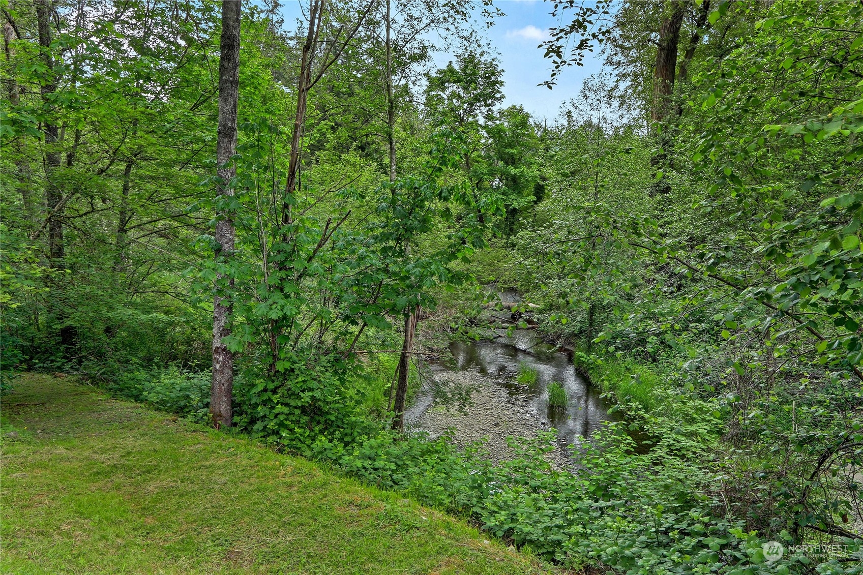23113 Barker Road Bothell, WA 98021 - Photo 35 of 37 a view of a lush green forest