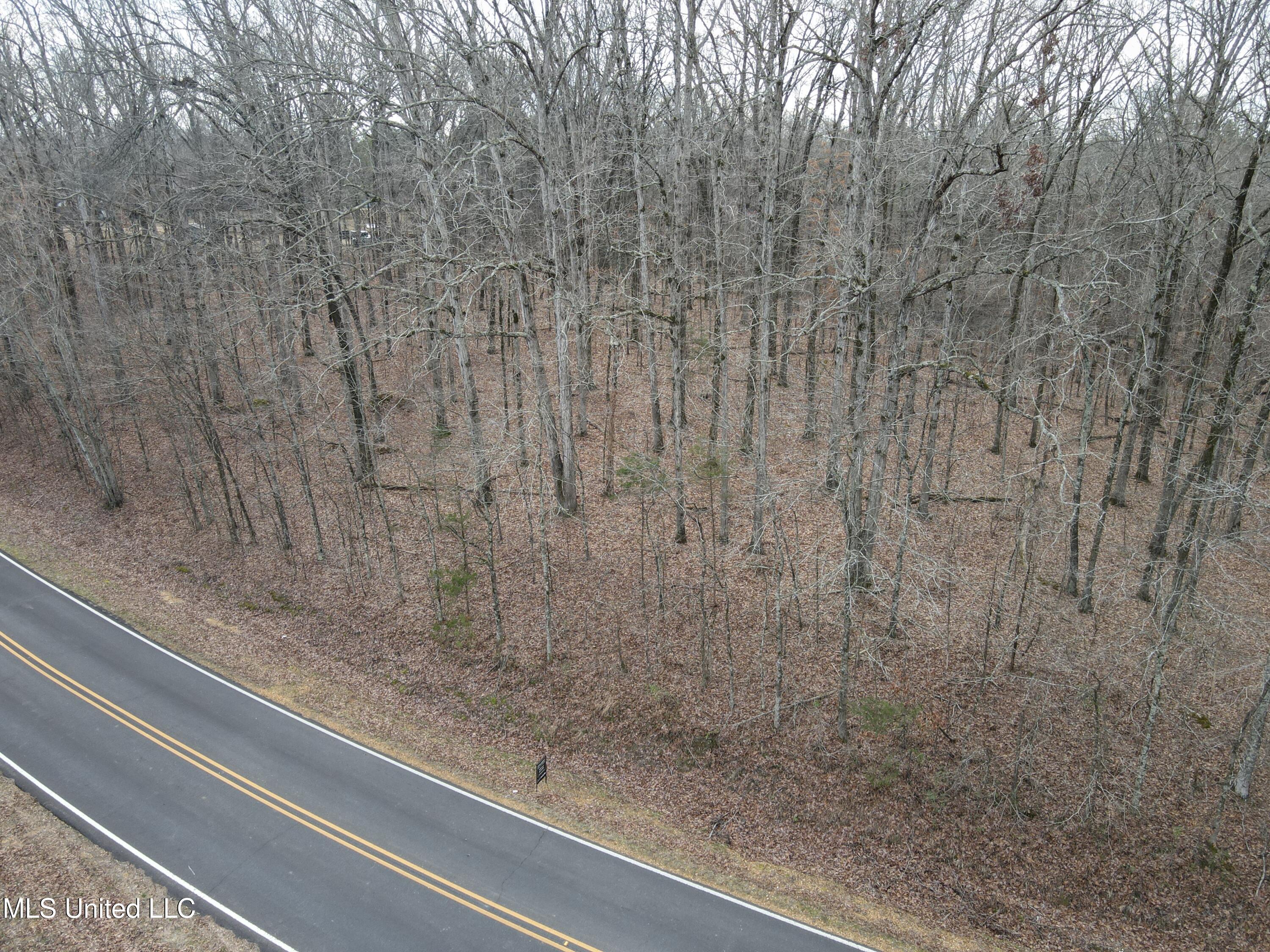 Woolsey Road Olive Branch, MS 38654 - Photo 2 of 10 DJI_0759