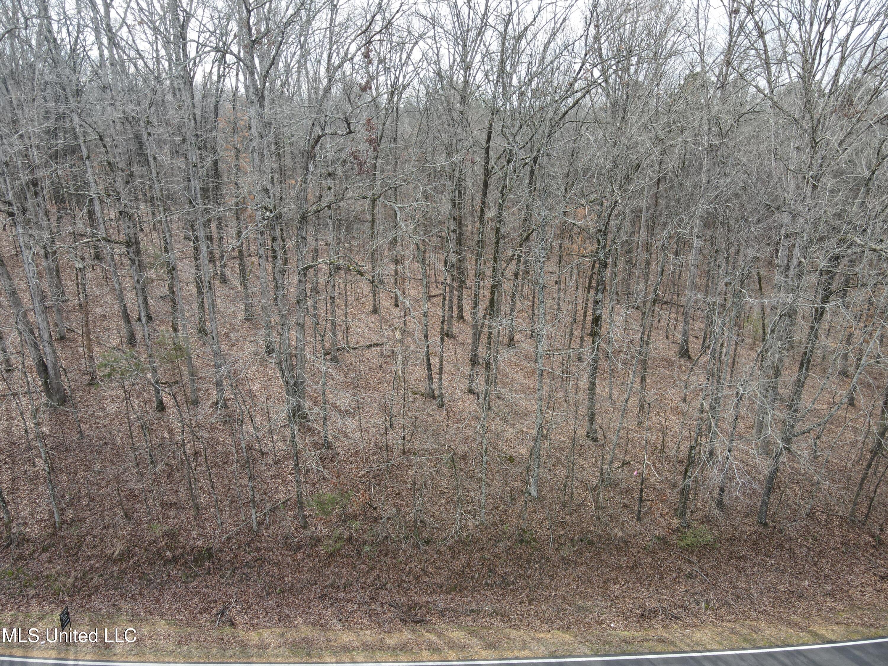 Woolsey Road Olive Branch, MS 38654 - Photo 3 of 10 DJI_0760