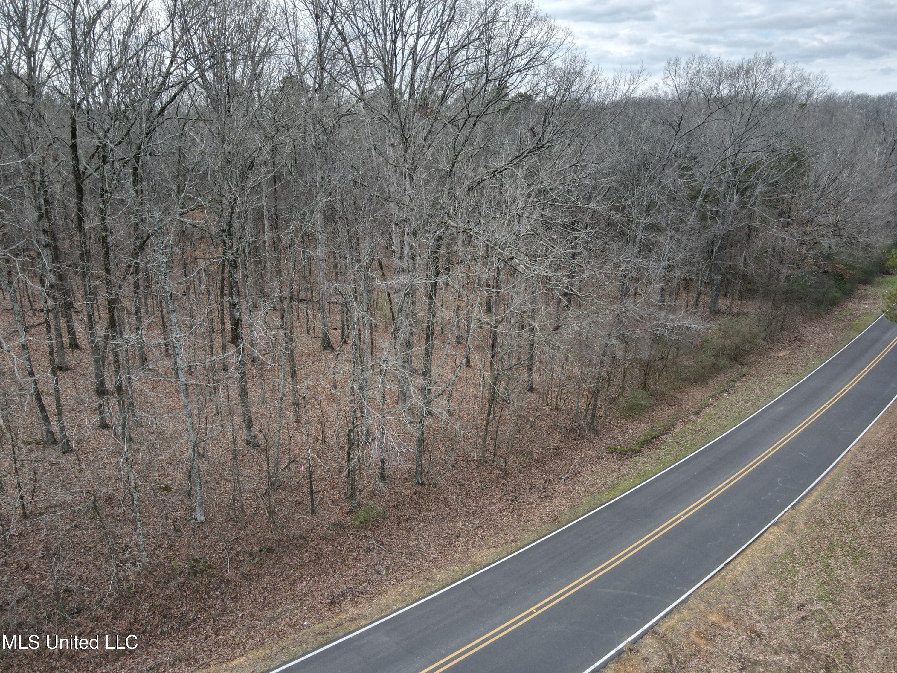 Woolsey Road Olive Branch, MS 38654 - Photo 4 of 10 DJI_0761