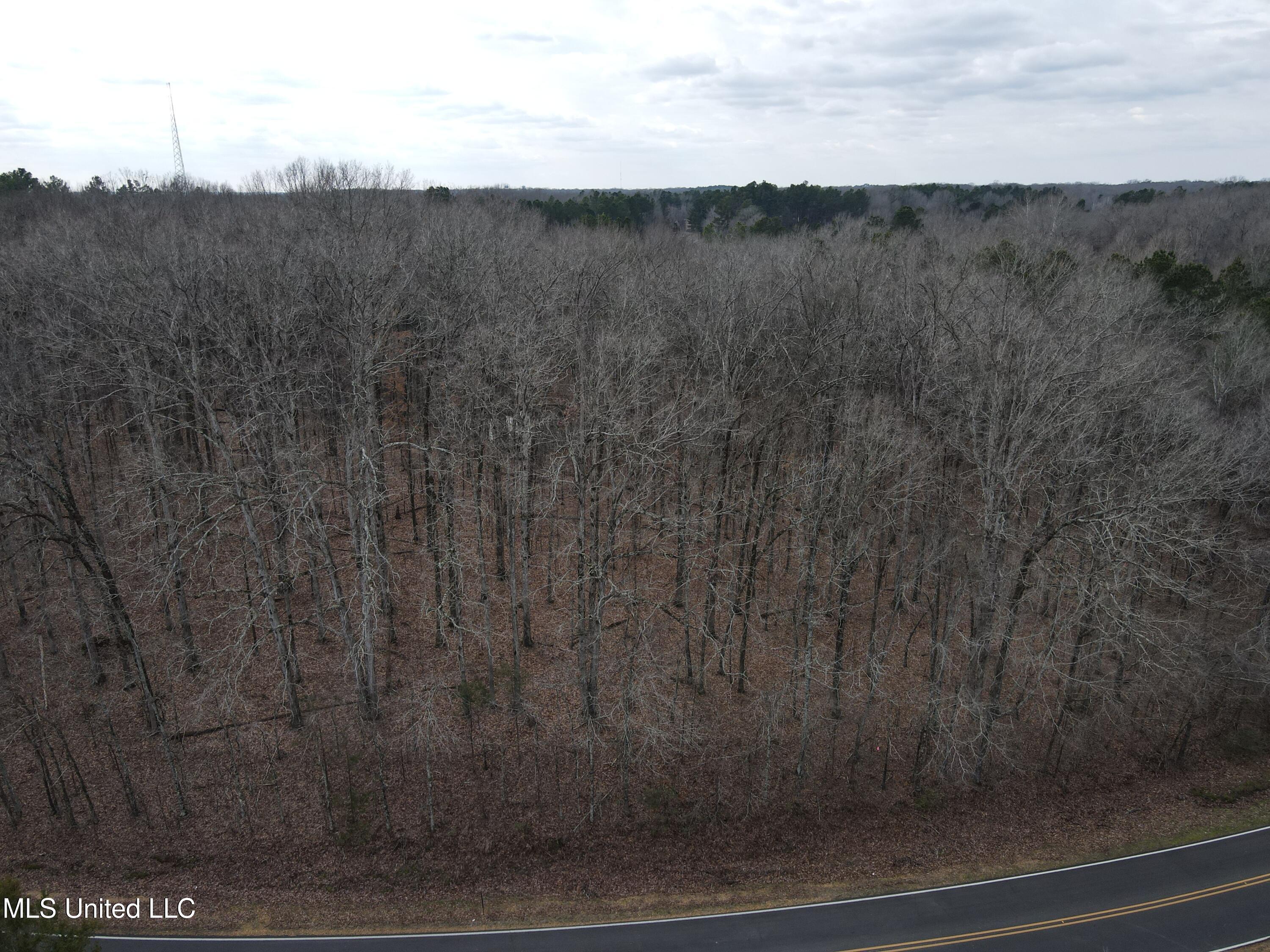 Woolsey Road Olive Branch, MS 38654 - Photo 5 of 10 DJI_0762