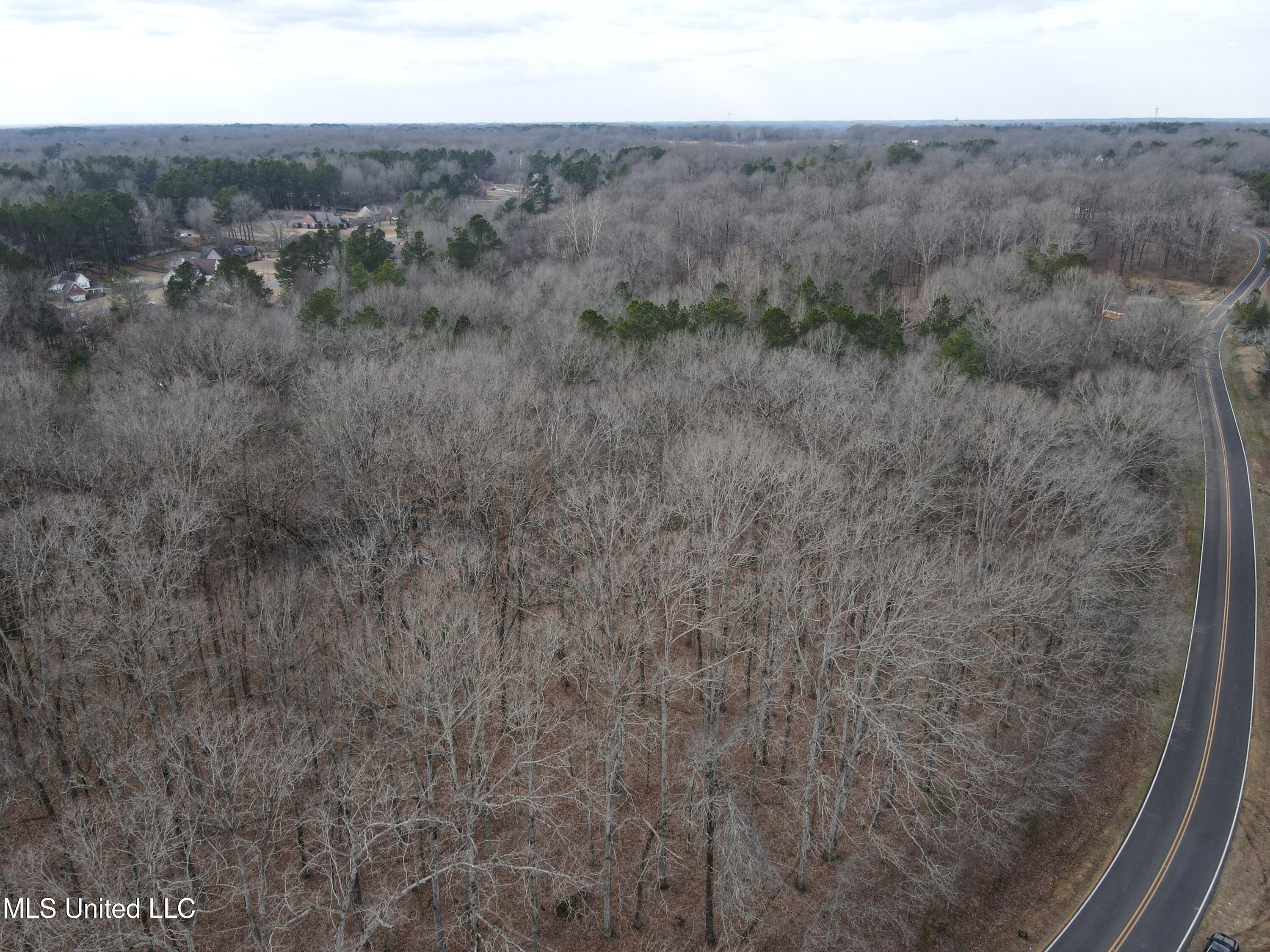 Woolsey Road Olive Branch, MS 38654 - Photo 7 of 10 DJI_0764