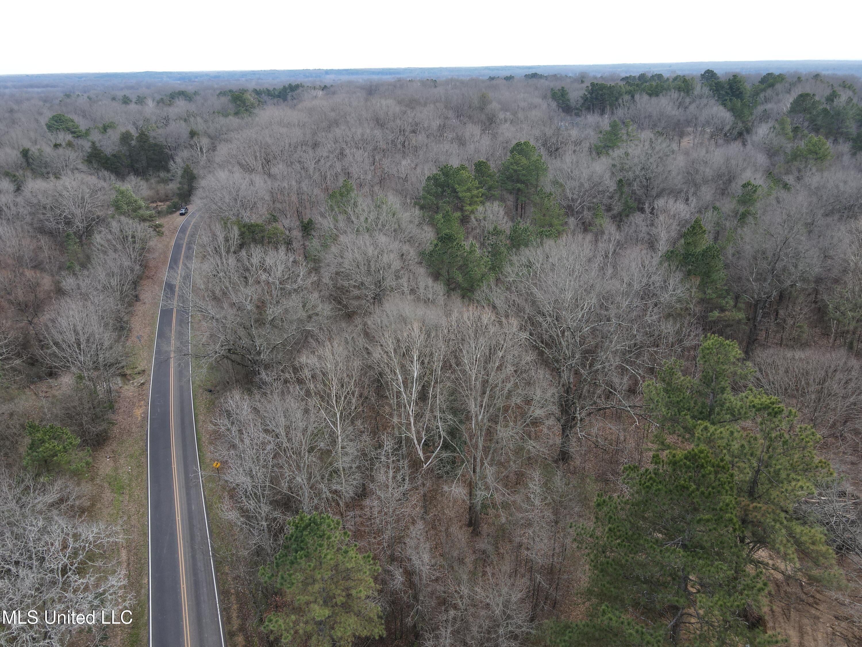 Woolsey Road Olive Branch, MS 38654 - Photo 8 of 10 DJI_0768