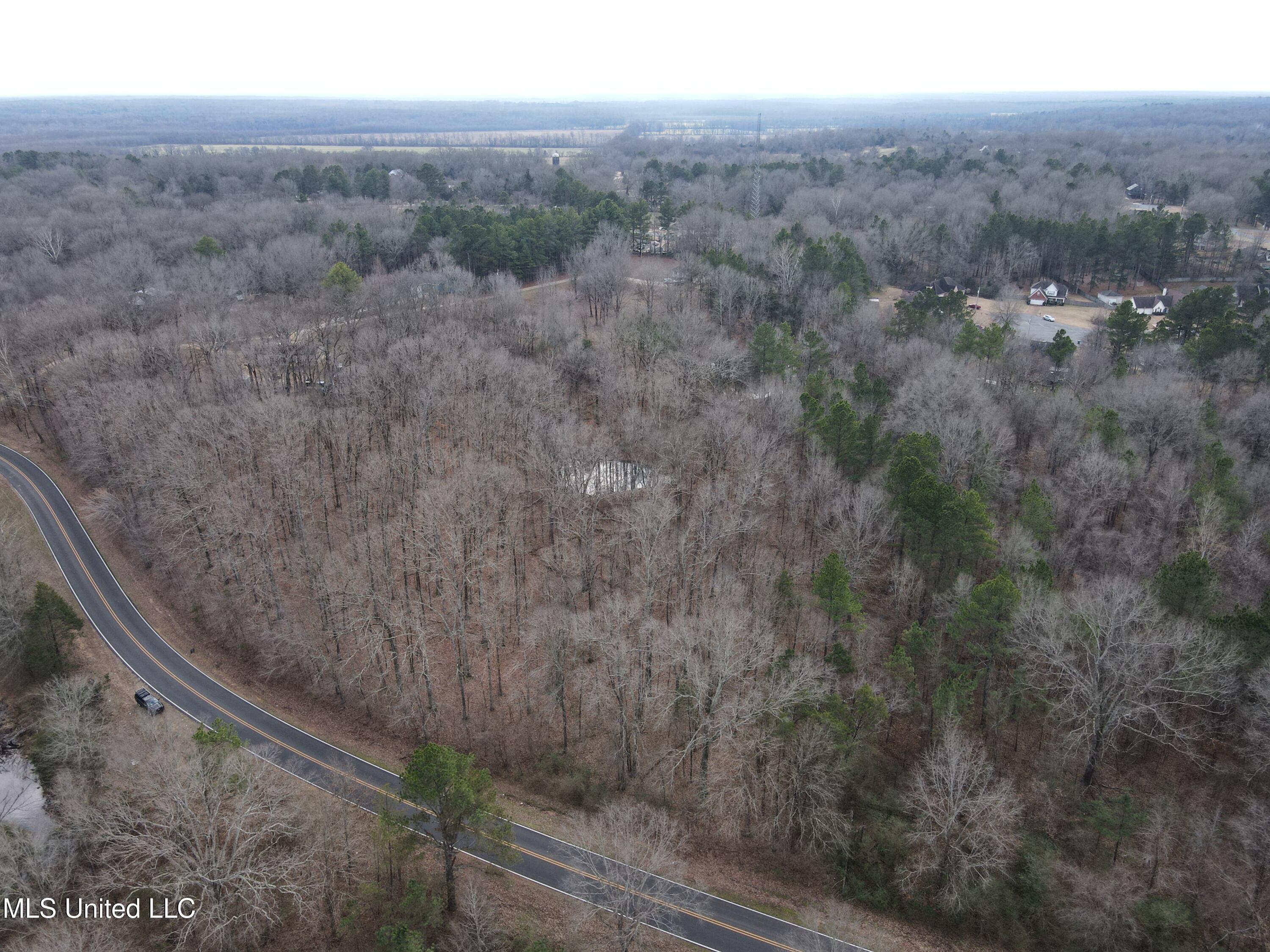 Woolsey Road Olive Branch, MS 38654 - Photo 10 of 10 DJI_0770