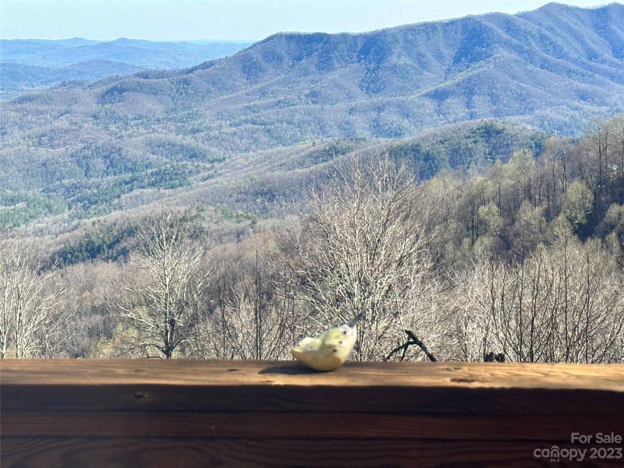 271 Bear Wallow Road Marion, NC 28752 - Photo 7 of 48 Gallery Image 7