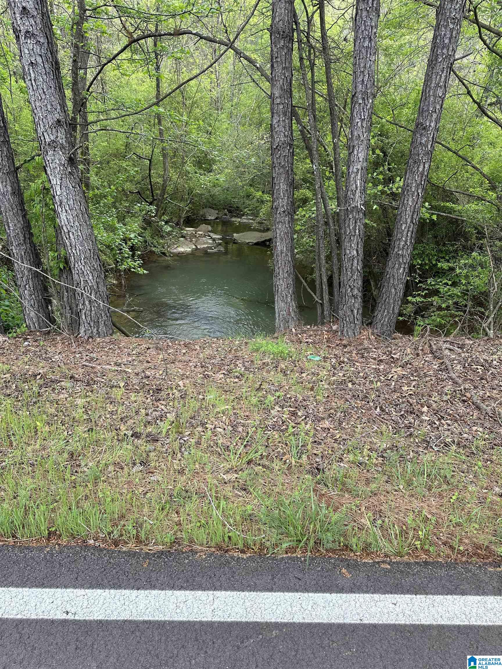7951 River Road Dora, AL 35062 - Photo 4 of 28