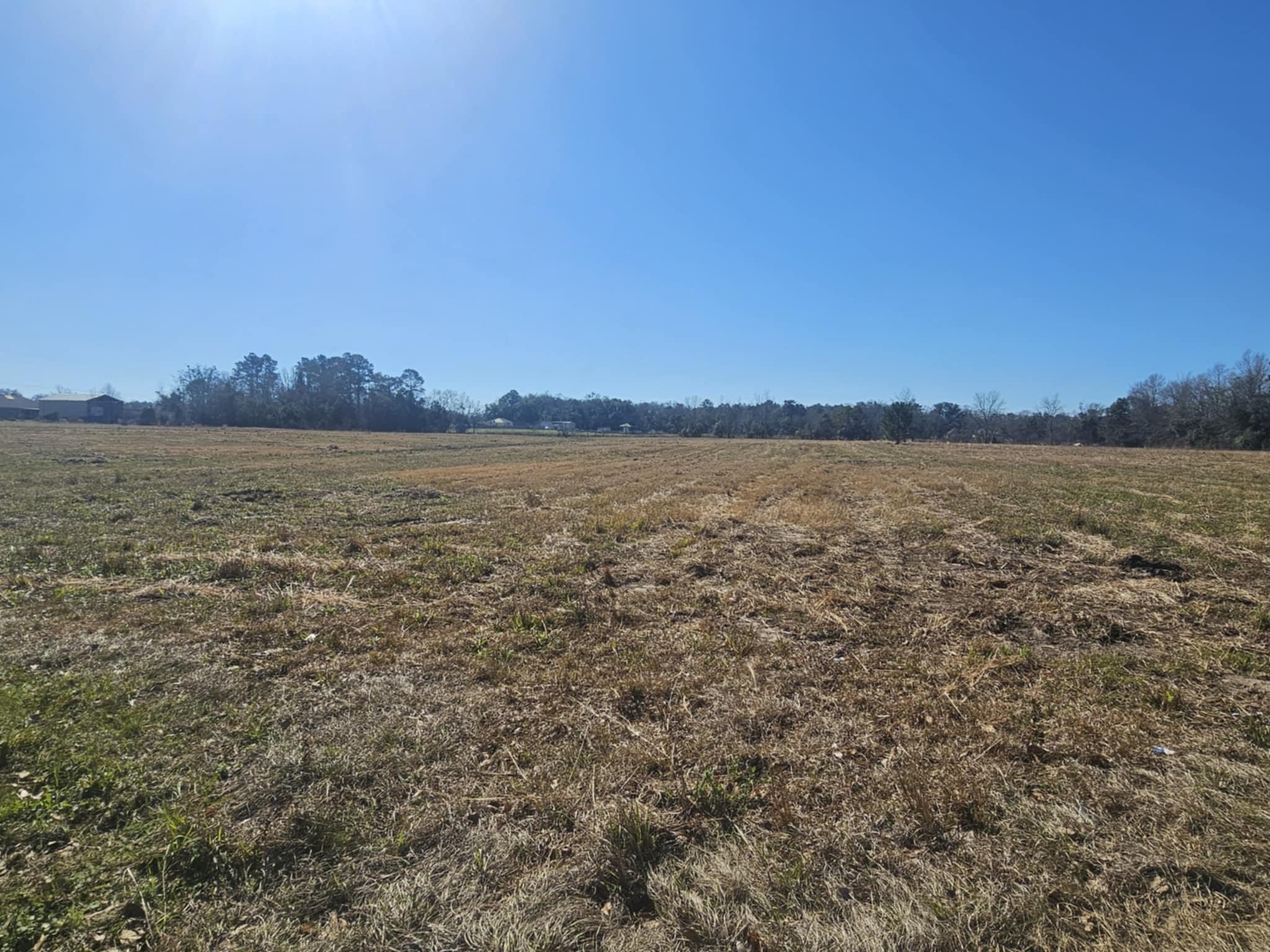 0 Black Griffin Road Loxley, AL 36551 - Photo 3 of 8 View