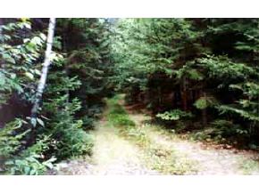. Forest Road Marlow, NH 03456 - Photo 2 of 4 Gallery Image 2