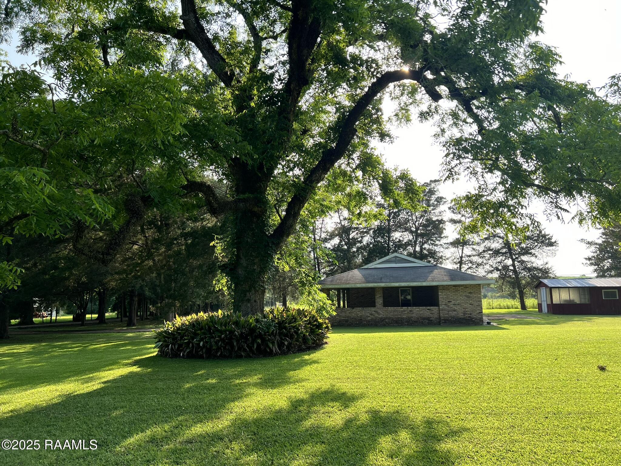 200 West Musique Road Carencro, LA 70520 - Photo 11 of 44 IMG_3778