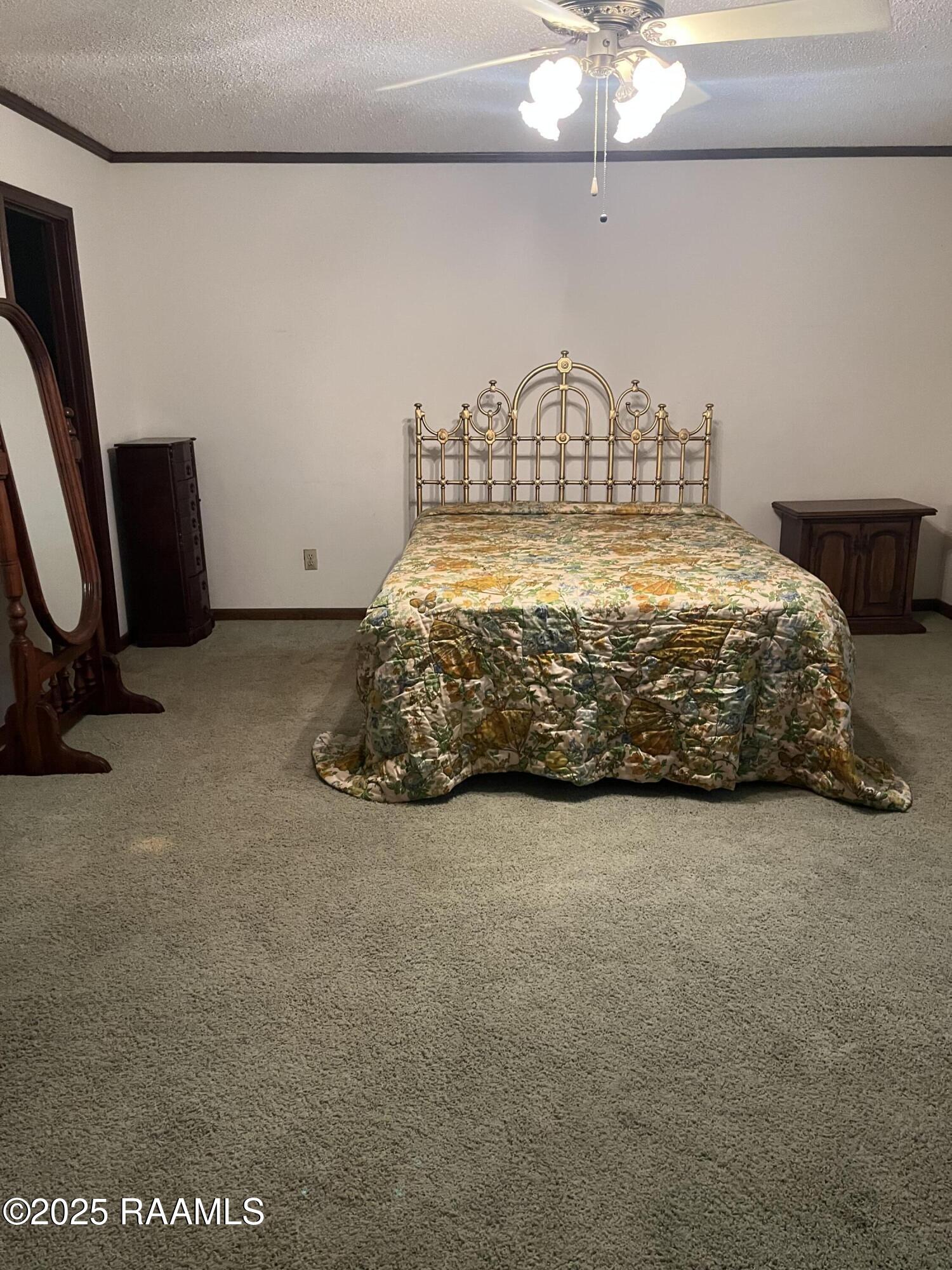 200 West Musique Road Carencro, LA 70520 - Photo 34 of 44 IMG_1516