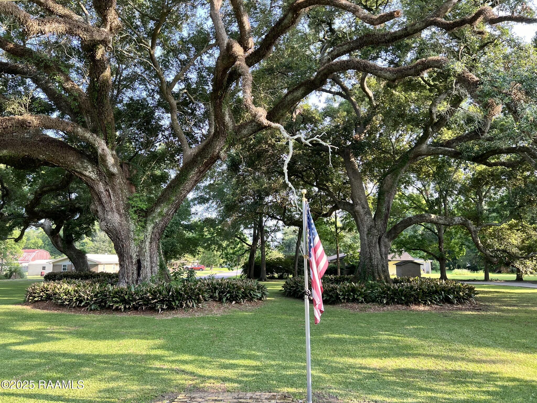 200 West Musique Road Carencro, LA 70520 - Photo 7 of 44 IMG_3776