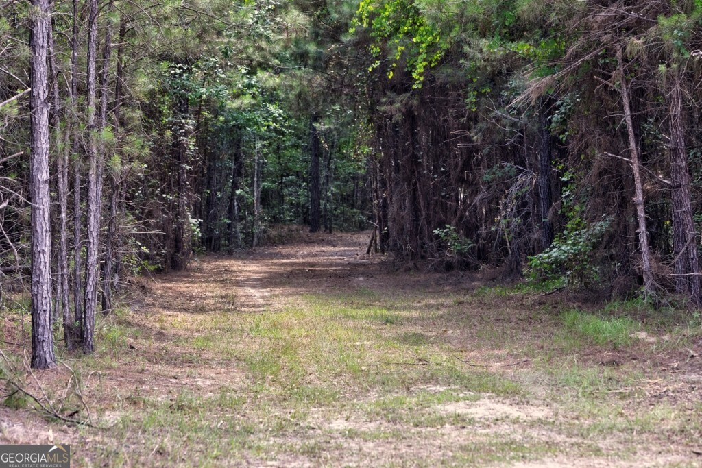 0 Highway 204 & Carlos Cowart Road Pembroke, GA 31321 - Photo 46 of 47