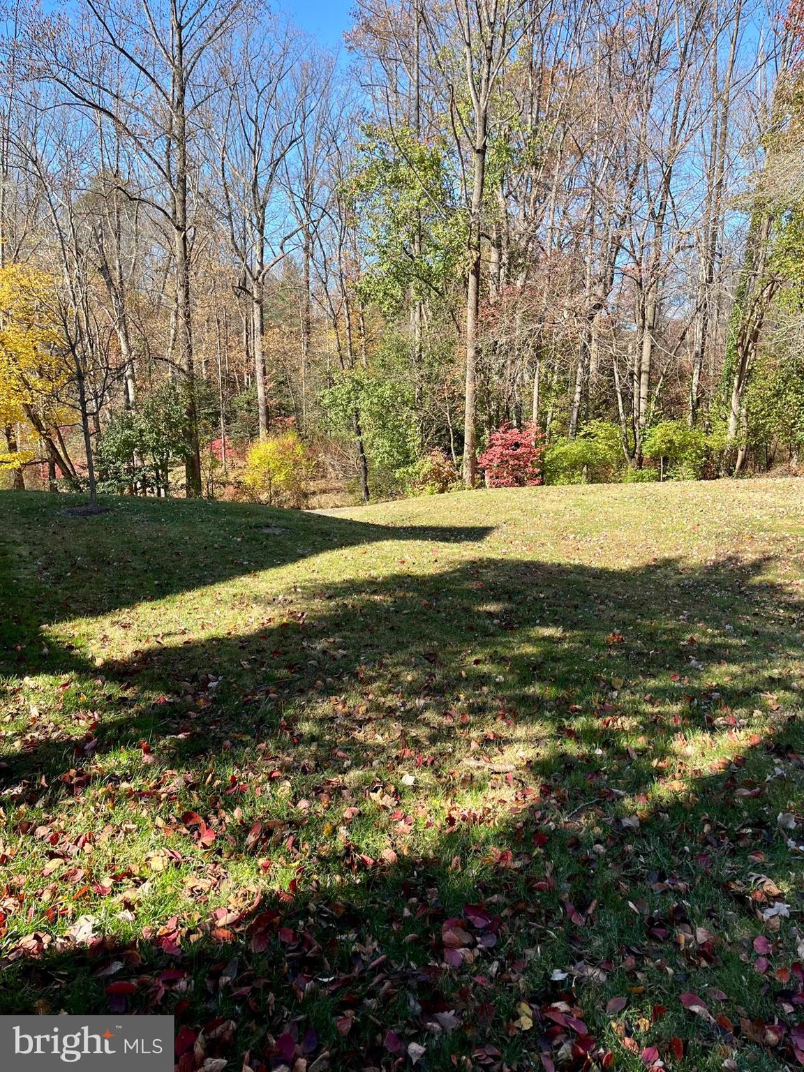 1434 Yellowwood Court Reston, VA 20190 - Photo 17 of 17 a view of a yard with a tree