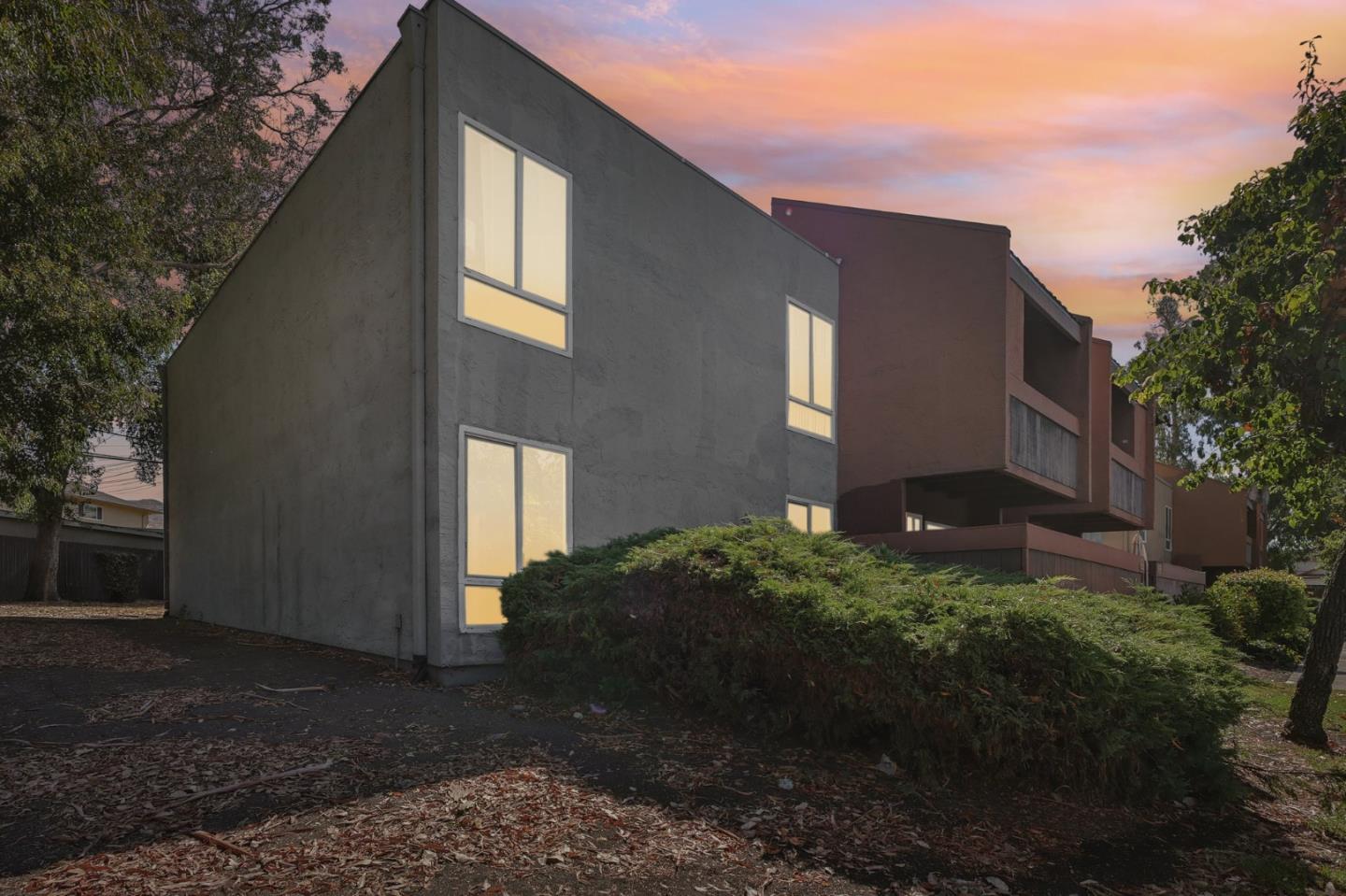 a backyard of a house with lots of plants and trees