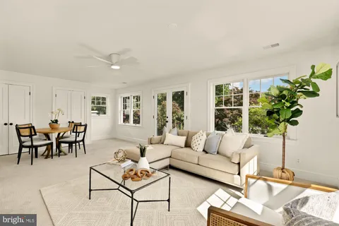 a living room with furniture potted plant and a window