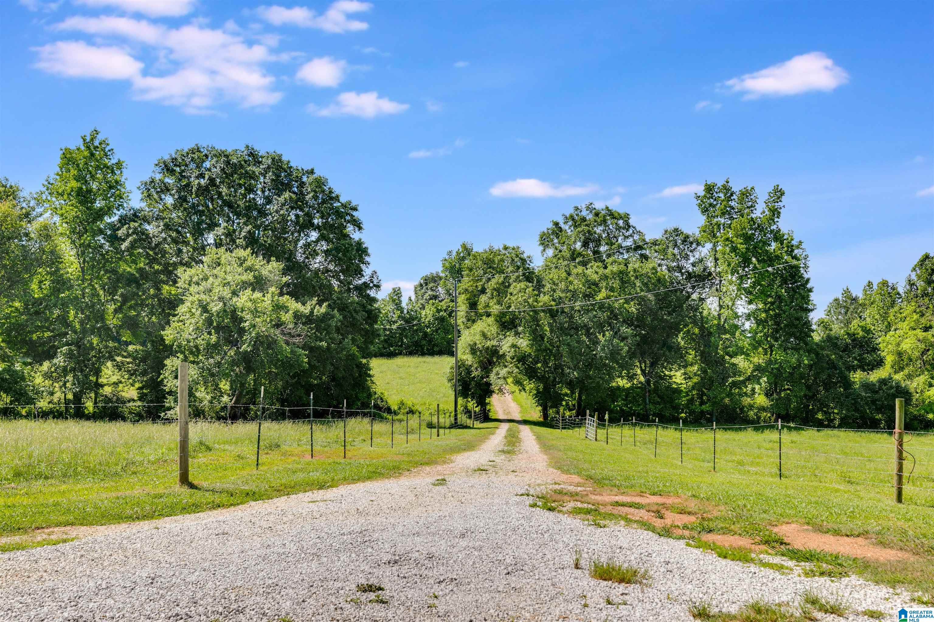 991 Mcvey Road Lineville, AL 36266 - Photo 5 of 55 Gallery Image 5