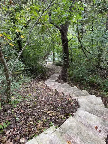 a view of a forest with trees