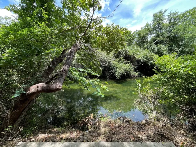 a view of a garden with a tree