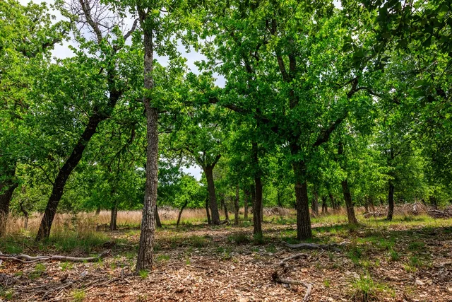 $1,095,000 | 2050 Adj Lane, Fredericksburg, TX 78624