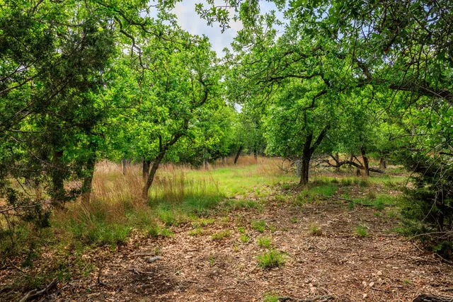 $1,095,000 | 2050 Adj Lane, Fredericksburg, TX 78624