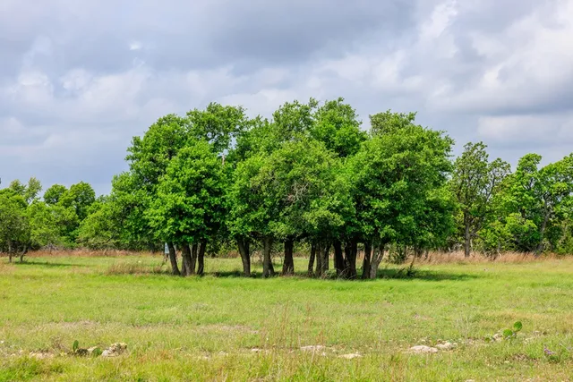 $1,095,000 | 2050 Adj Lane, Fredericksburg, TX 78624