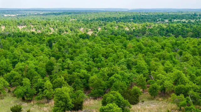 $1,095,000 | 2050 Adj Lane, Fredericksburg, TX 78624