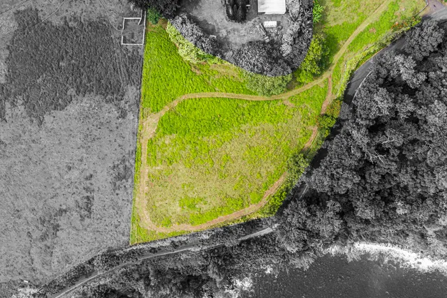 a view of a yard with plants