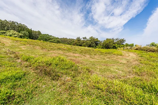 a view of an ocean from a yard