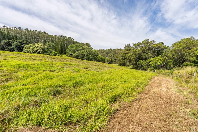 a view of a yard with an trees