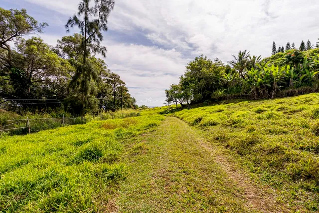 a view of swimming pool from a yard
