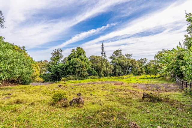 a view of a large yard with lots of green space
