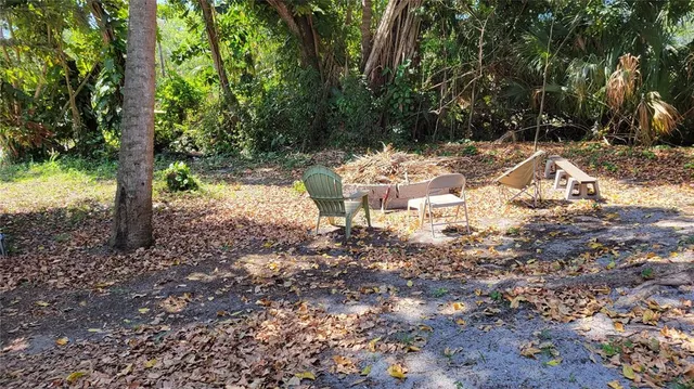a view of a yard with plants and large trees